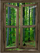 Woodland Cabin Window Peel & Stick (1 piece) Canvas Wall Mural