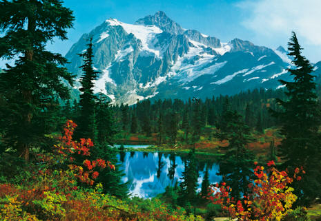 Mountain Morning 211