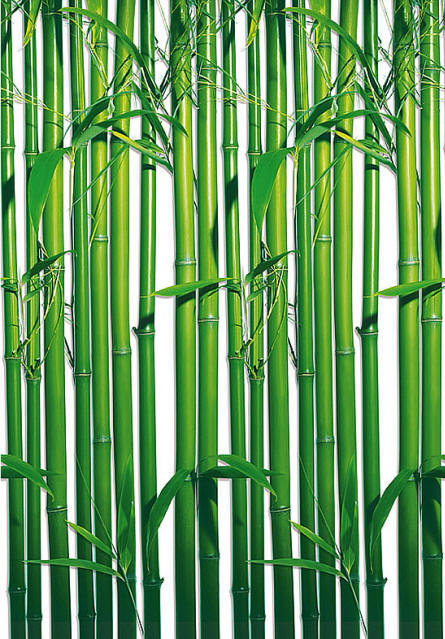 Bamboo Wall Mural 421 by Ideal Decor