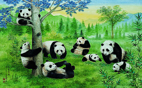 Pandas Wall Mural PR 1810