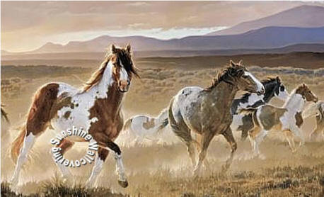 Desert Horse Wall Mural by York HJ6717M