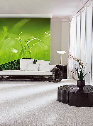 Green' Wall Mural by Komar 8-886 Roomsetting