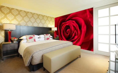 Red Rose Wall Mural DS8197