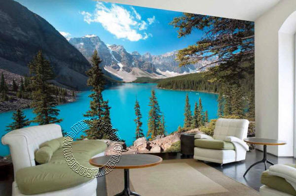 Northern Exposure PR98079 Wall Mural 8060