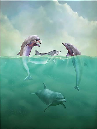 Dolphin's Wall Mural 99449