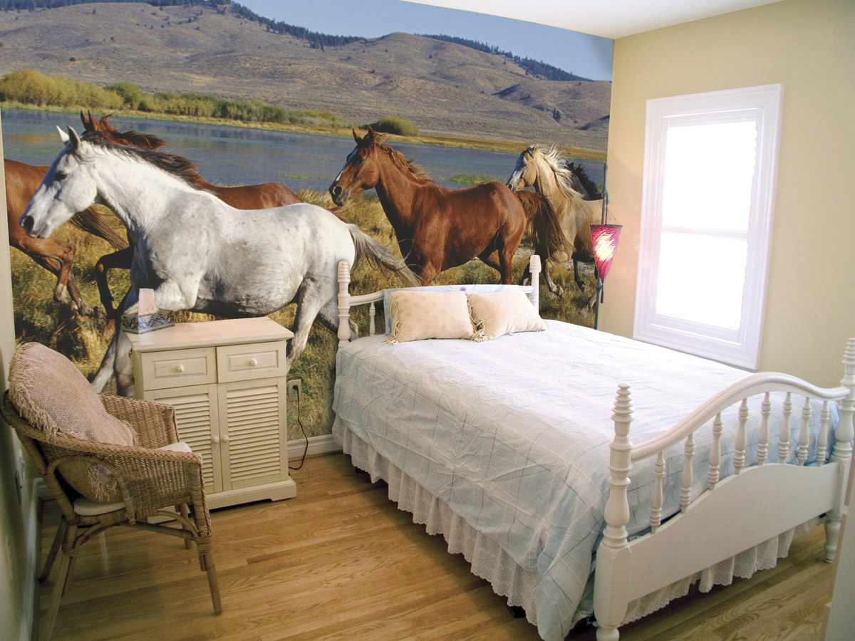 Wild Horses C838 wall mural