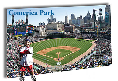 Overview of St.Louis Cardinals Baseball Field Wall Mural