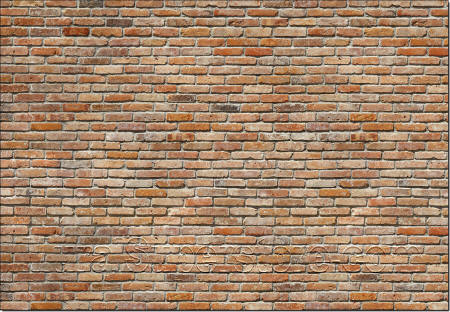 Brick Wall 8-741 Wall Mural by Komar