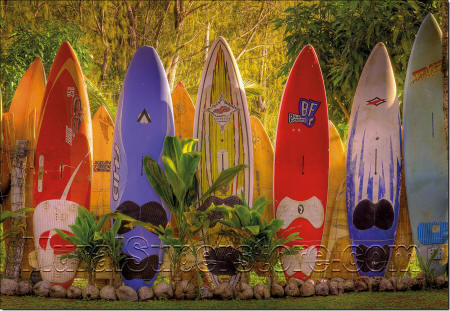 Maui 8-902 Wall Mural by Komar