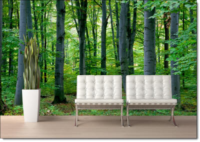 Woodland Forest Peel & Stick Wall Mural