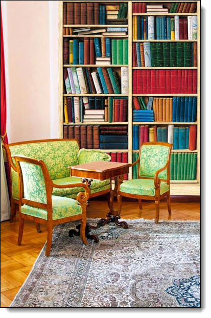 Bibliotheque Bookcase 401 DM401 Wall Mural
