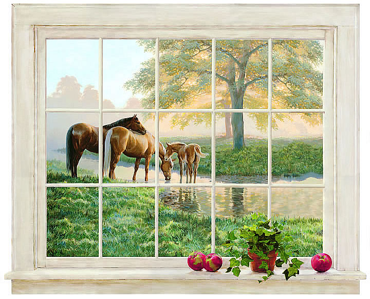Mare & Foal HJ6715M Wall Mural