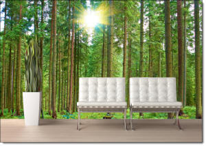 Morning Forest Wall Mural Roomsetting