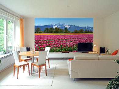Tulips Wall Mural DM137 roomsetting