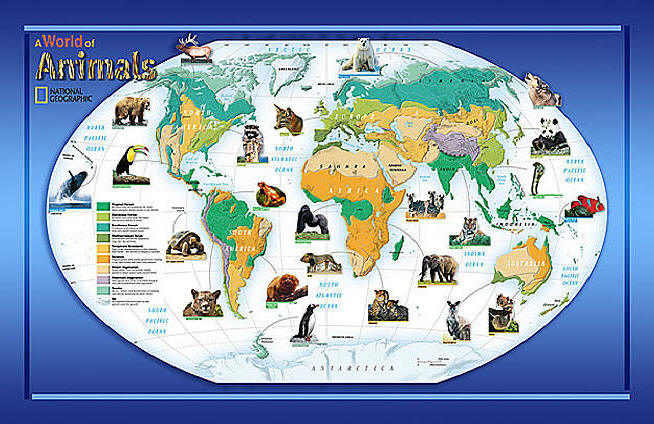 A World Of Animals Wall Map