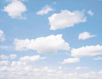 Daydreaming Wall Mural C825