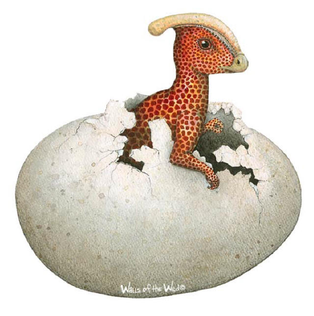 Walls of the Wild Peel & Stick Appliqu Dino Egg