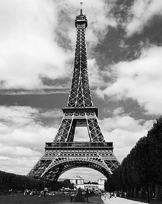 La Tour Eiffel 679 Wall Mural by Ideal Decor