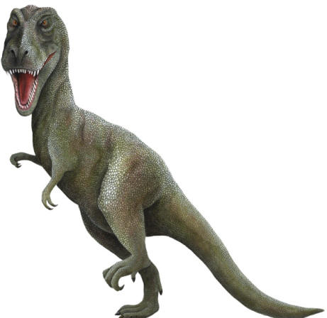 Walls of the Wild Peel & Stick Appliqu T-Rex Large