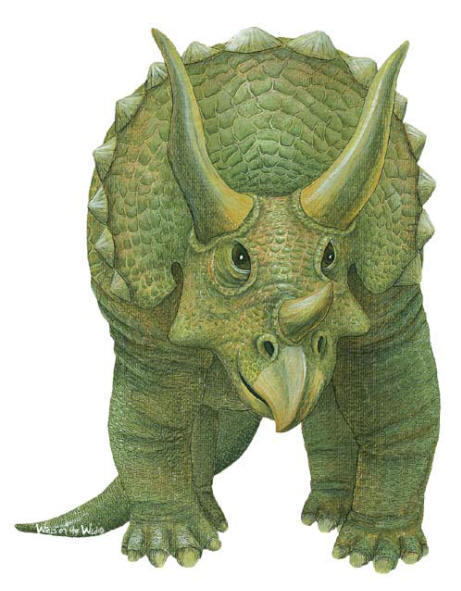 Walls of the Wild Peel & Stick Appliqu Triceratops small