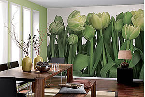Tulips Wall Mural 8-900 by Komar Roomsetting