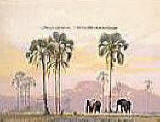 Elephant Walk wall murals