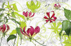 Gloriosa wall mural 8-899