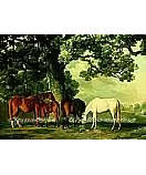 Green Pastures discount wall murals