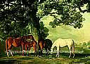 Green Pastures york wallpaper wall mural