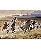 Desert Horses discount wall murals