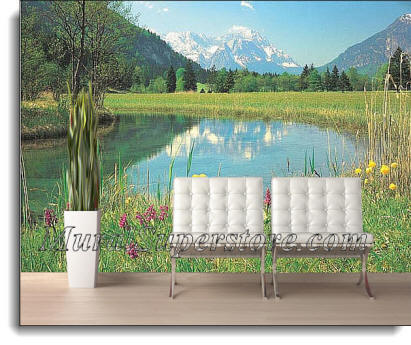 Mountain Glenn Wall Mural PR1806 8006