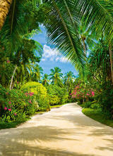 Tropical Pathway DM438 Wall Mural