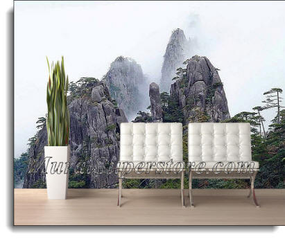 Foggy Mountain Wall Mural DS8007