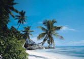 La Dique Seychelles Wall Mural