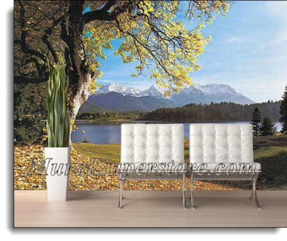 Herzergstand Germany Wall Mural DS8024 