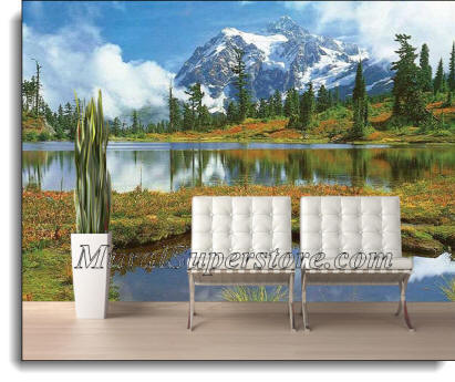 Mt Shuksan And Picture Lake Wall Mural DS8036