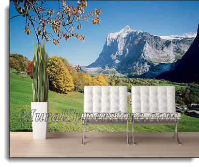 Autumn Hill Switzerland Wall Mural DS8039 