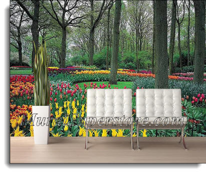 Tulip Garden Wall Mural DS8042 