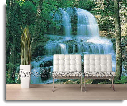 Pearson's Falls Wall Mural DS8080 