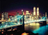 New York Bridge Wall Mural DS8071