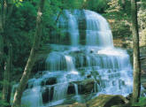 Pearsons Falls Wall Mural DS8080 	