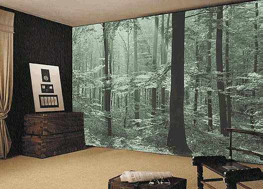Magic Forest Wall Mural 8051