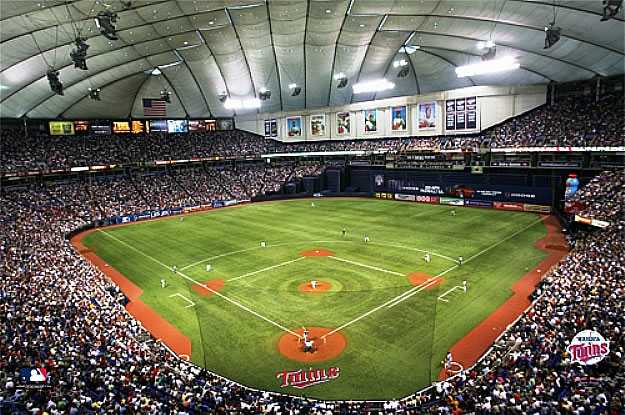 Minnesota Twins/Metrodome Wall Mural 