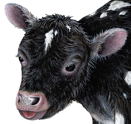 Walls of the Wild Peel & Stick Appliqué Calf