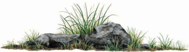 Walls of the Wild Peel & Stick Appliqué Rock Grass