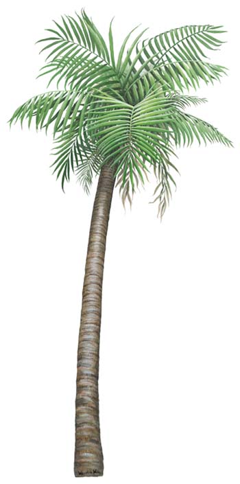 Walls of the Wild Peel & Stick Appliqué Palm Tree