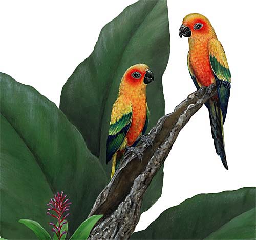 Walls of the Wild Peel & Stick Appliqu Parrots