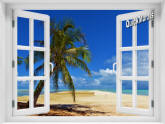 African Beach Window