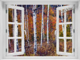 Birch Forest Window