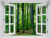 Woodland Forest Window